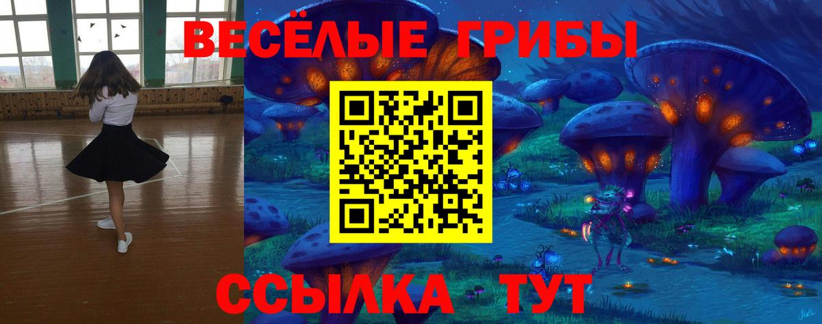 Псилоцибиновые грибы GOLDEN TEACHER Йошкар-Ола