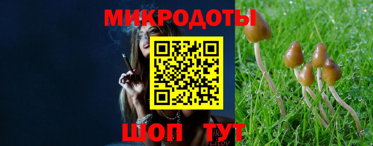 Псилоцибиновые грибы Magic Shrooms  Вход с VPN  Йошкар-Ола 